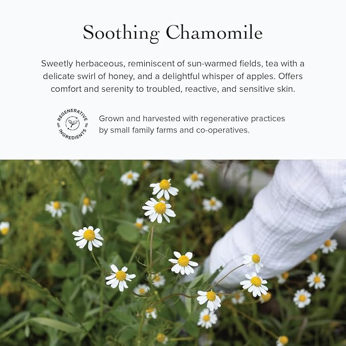 evanhealy Blue Chamomile Moisturizer | Calming Facial Cream with Carrot Seed & Argan Oil | Creamy Moisturizer For Sensitive & Reactive Skin