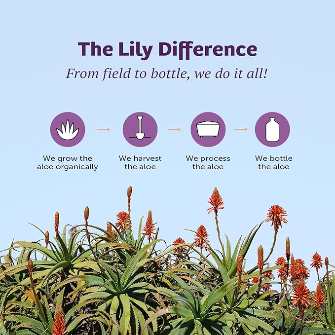 Lily Of The Desert Aloe Vera Gel - Inner Fillet Thicker Consistency Aloe Vera Drink with Natural Vitamins, Digestive Enzymes for Gut Health, Stomach Relief, Wellness, Glowing Skin, 32 Oz (Pack of 2)
