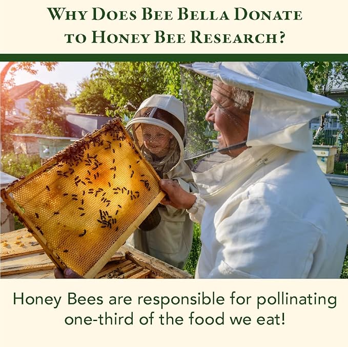 Bee Bella Lip Balm, Vanilla Bean, 3 Pack, Moisturizing Lip Care, 100% Natural, Original Organic Beeswax with Vitamin E, Handmade in USA