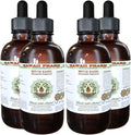 Hawaii Pharm Witch Hazel Alcohol-Free Liquid Extract, Witch Hazel (Hamamelis Virginiana) Dried Leaf Glycerite Natural Herbal Supplement, USAt 4x4 fl.oz