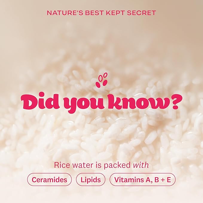 THE FACE SHOP Rice Water Bright Foaming Cleanser, Hydrating Korean Face Wash with Ceramides, Deep Pore Cleansing, All Skin Types, Gentle Skincare, Vegan, 10.1 fl. oz.