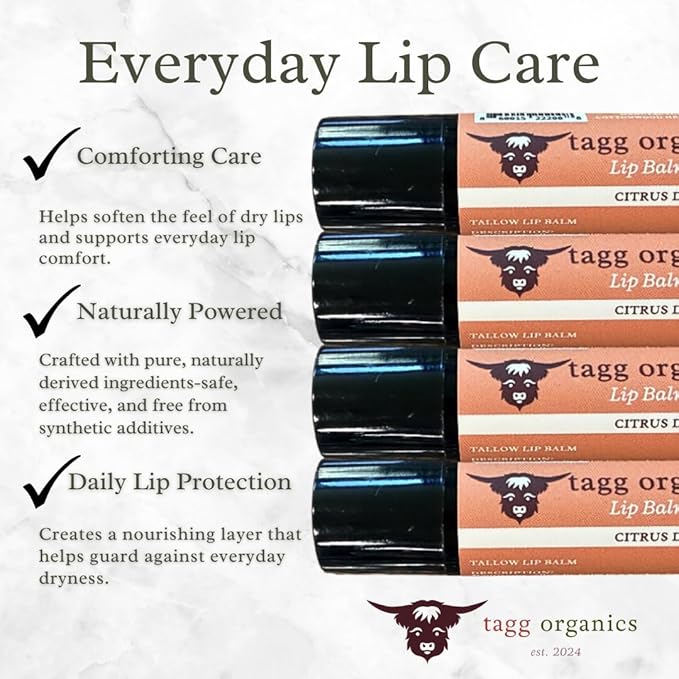 Citrus Deam Tallow Lip Balm – Moisturizing Lip Care with Grass-Fed Tallow, Natural Beeswax & Essential Oils, 4 Pack (.15 oz)