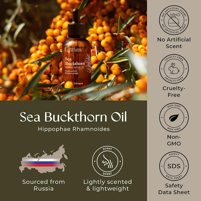 Gya Labs Sea Buckthorn Oil - 1.7 Fl Oz - Carrier Oil for Hair, Skin, Face, Scalp & Body Massage