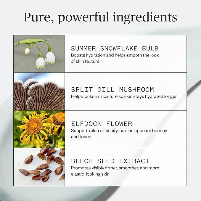 Ursa Major Vital Spring Hydration Mask | Deeply Hydrating Natural Mask| Plumps Skin’s Appearance, Boosts Firmness & Smooths Appearance of Fine Lines | Vegan, Cruelty-Free, Non-Toxic | 1.69 ounce