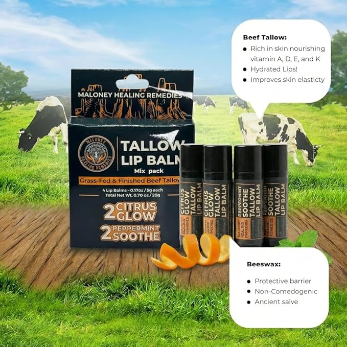 Tallow Lip Balm 4-Pack – Grass-Fed Beef Tallow, Organic Coconut Oil & Beeswax – Natural, Non-Toxic – No Seed Oils (Citrus + Peppermint Lip Balm for Dry Lips, Chapped Lips, Daily Lip Moisturizer)