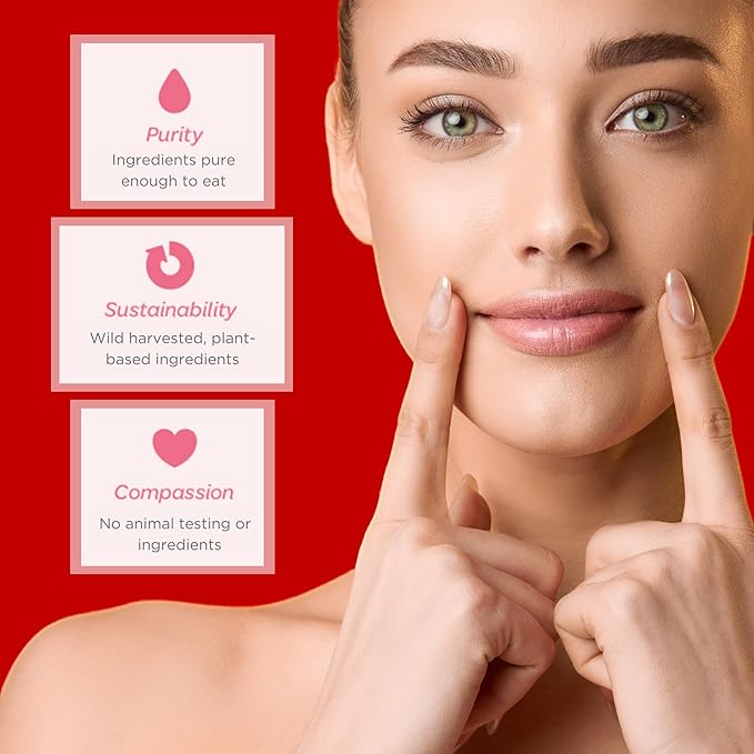 Ellovi Natural Lip Butter Lip Balm - Wild Rose Tinted - Pure Enough to Eat - Made With Just 6 Vegan Ingredients - Tinted Moisturizing Lip Care for All Day Hydration (2-Pack)