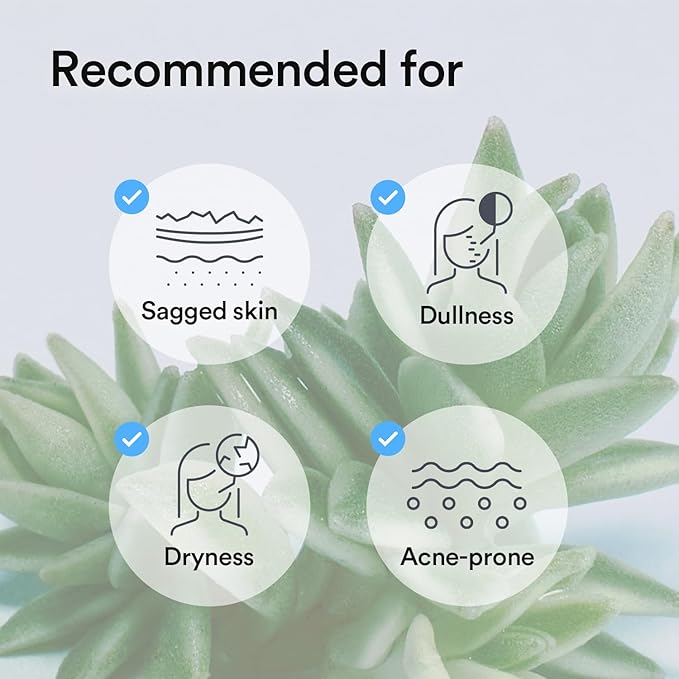 Abib Collagen Gel Mask Sedum Jelly 4 Sheets (Hydrating) I Korean Vegan Collagen, Cooling Hydrating Hyaluronic Acid Hydrogel Face Mask Skin Care