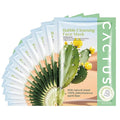 Cactus O2 Bubble Face Masks Sheet for Women,Deep Cleaning Bubble Masks Oil Control Purifying,Home Spa Facial Sheet Mask For All The Skin（12Pack