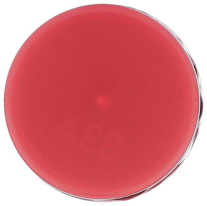BURTS BEES Tinted Lip Balm Magnolia, 0.15 OZ