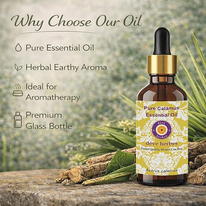 dève herbes Calamus Essential Oil (Acorus Calamus) with Glass Dropper | Pure | Non-Sticky | Non-Greasy | Lightweight | Men & Women | All Skin Types | Steam Distilled 50ml (1.69 oz)