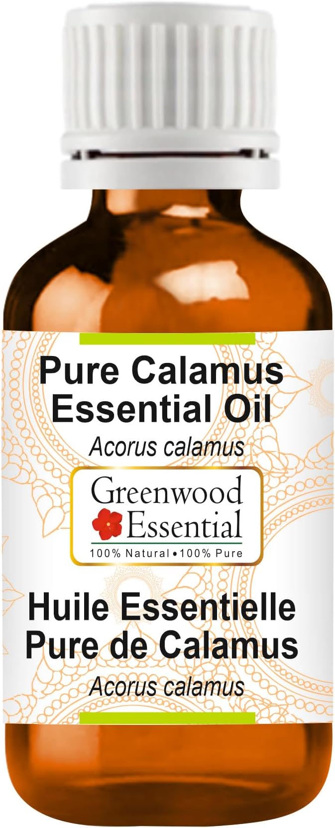 Greenwood Essential Calamus Essential Oil (Acorus Calamus) Pure | Non-Sticky | Non-Greasy | Lightweight | Men & Women | All Skin Types | Steam Distilled 30ml (1 oz)