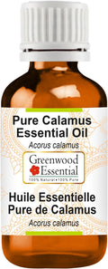 Greenwood Essential Calamus Essential Oil (Acorus Calamus) Pure | Non-Sticky | Non-Greasy | Lightweight | Men & Women | All Skin Types | Steam Distilled 15ml (0.50 oz)
