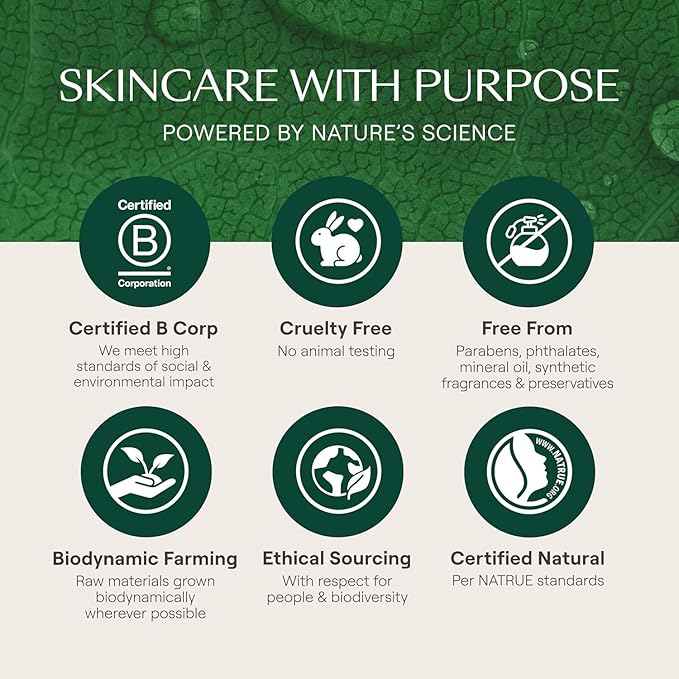 Weleda Skin Food Face Care Nourishing Day Cream,1.3 Fluid Ounce,Plant Rich Moisturizer with Olive Leaf Extract,Squalane and Chamomile,(Pack of 2)