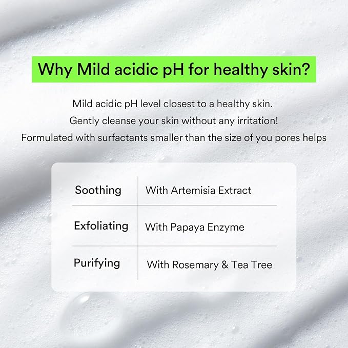Abib Mild Foam Cleanser Heartleaf Foam 5.07 fl.oz