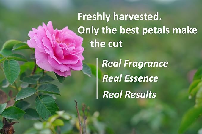 Blise organic Rose Water -100% Pure, Natural and Organic, Free from Preservatives, Steam distilled from finest rose petals, Alcohol-Free, Vegan & Cruelty Free