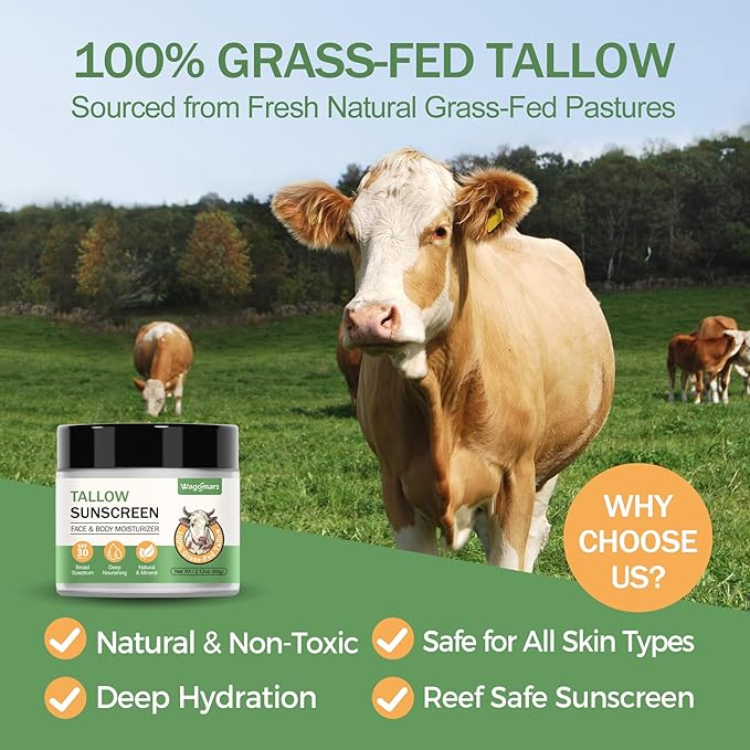 Tallow Sunscreen SPF 30 - Non-Toxic Natural Mineral Sunscreen with Zinc Oxide & Beef Tallow - Reef Safe Sunblock for Face & Body - Moisturizing for All Skin Types (Sport & Daily Use)