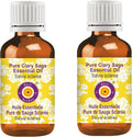 Deve Herbes Pure Clary Sage Essential Oil (Salvia sclarea) Steam Distilled (Pack of Two) 100ml X 2 (6.76 oz)