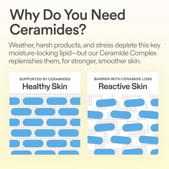 Skinfix Ceramide Prime Whipped Cream - 1.7 oz - Lightweight Moisturizer for Face with Niacinamide + Peptides - Non-Comedogenic, Fragrance Free, Vegan, Cruelty Free