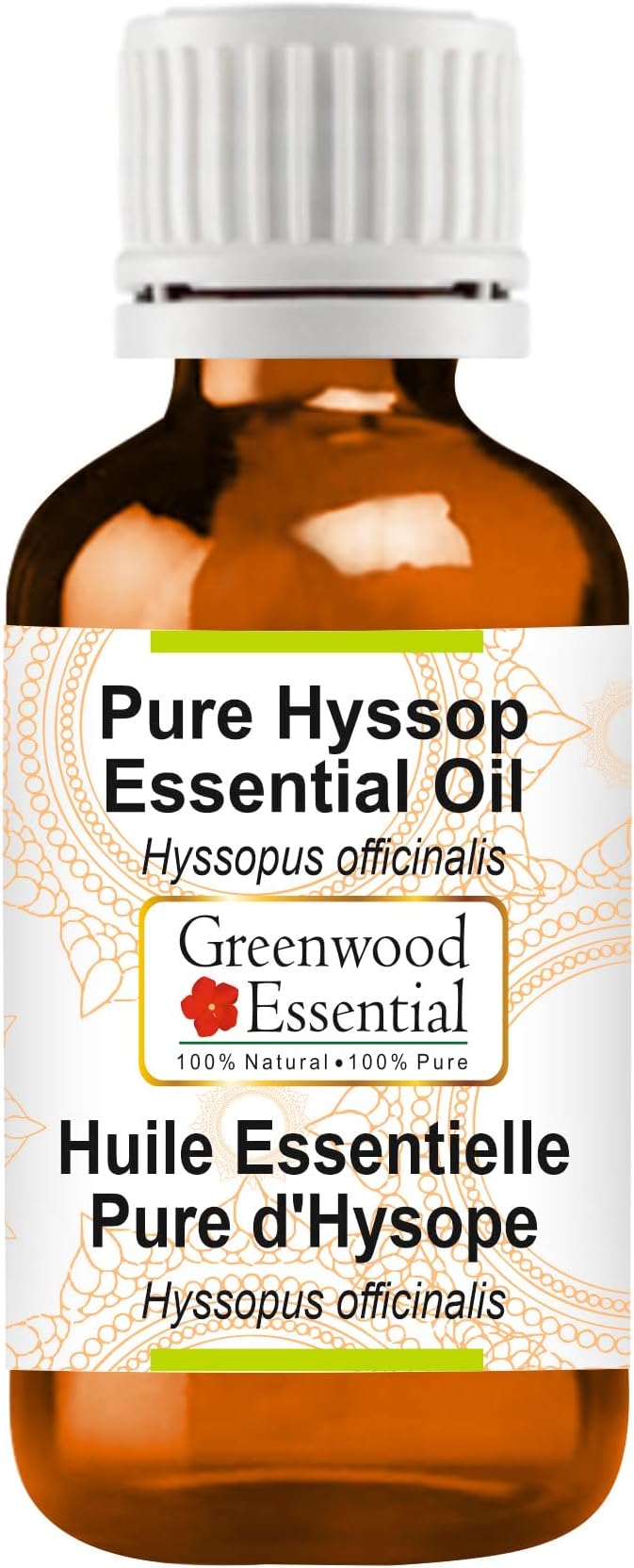 Greenwood Essential Pure Hyssop Essential Oil (Hyssopus officinalis) Steam Distilled 50ml (1.69 oz)