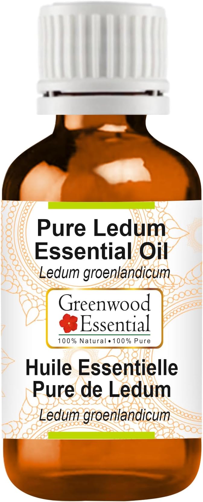 Greenwood Essential Ledum Essential Oil (Ledum groenlandicum) Pure | Non-Sticky | Non-Greasy | Lightweight | Men & Women | All Skin Types | Steam Distilled 50ml (1.69 oz)