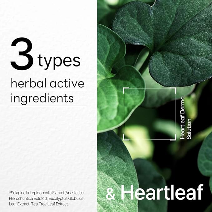 Mediheal Dermaplus Heartleaf Mask (10 Counts) - Daily Vegan Mask for Soothing Skin with Panthenol & Hyaluron, Korean Self Skin Care Sheet Mask