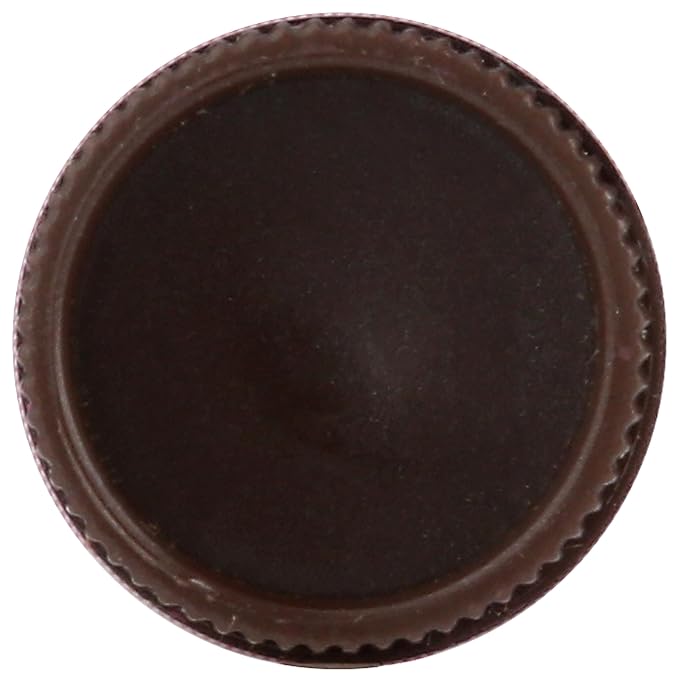 Burt's Bees Tinted Lip Balm, Sweet Violet, 1 Count