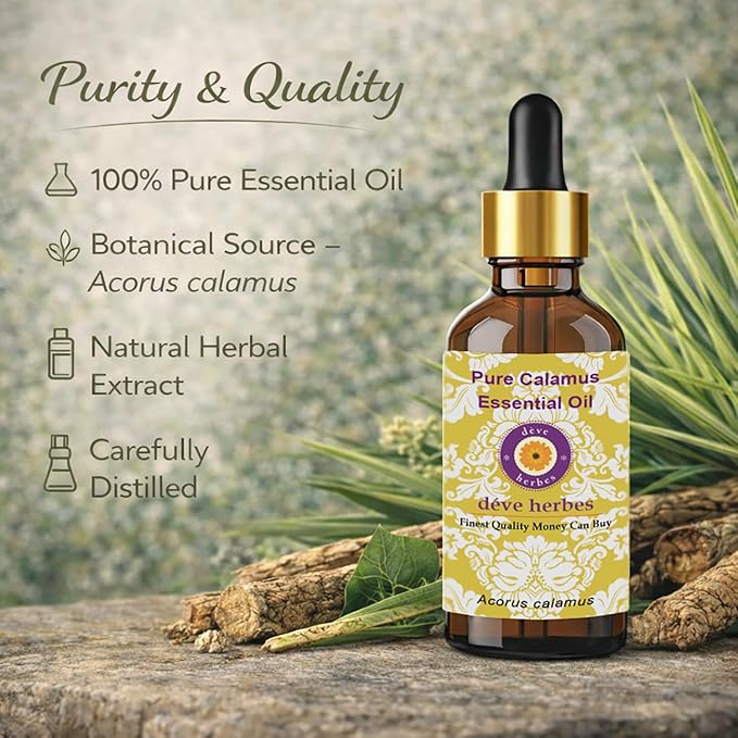 Deve Herbes Pure Calamus Essential Oil (Acorus Calamus) Steam Distilled 100ml (3.38 oz)