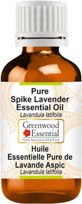 Greenwood Essential Spike Lavender Essential Oil (Lavandula latifolia) Pure | Non-Sticky | Non-Greasy | Lightweight | Men & Women | All Skin Types | Steam Distilled 100ml (3.38 oz)
