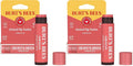Burt's Bees Lip Tint Balm, Long Lasting 2 in 1 Duo Tinted Balm Formula, Color Infused with Hydrating Shea Butter for a Natural Looking Buildable Finish, Hibiscus, 1 Tube (Pack of 2)