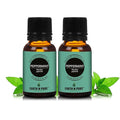 Earth N Pure Peppermint Essential Oil (Pudina Oil) Undiluted, Natural and Therapeutic Grade Pack of 2 | 15 ml