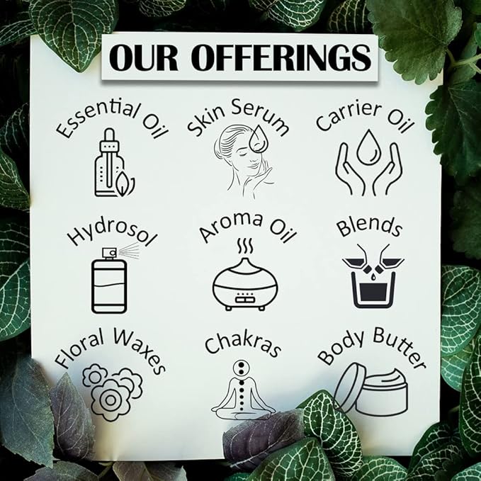 Deve Herbes Pure Niaouli Essential Oil (Melaleuca quinquenervia) Steam Distilled 100ml (3.38 oz)