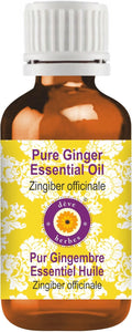 Deve Herbes Pure Ginger Essential Oil (Zingiber officinale) Steam Distilled 15ml (0.50 oz)