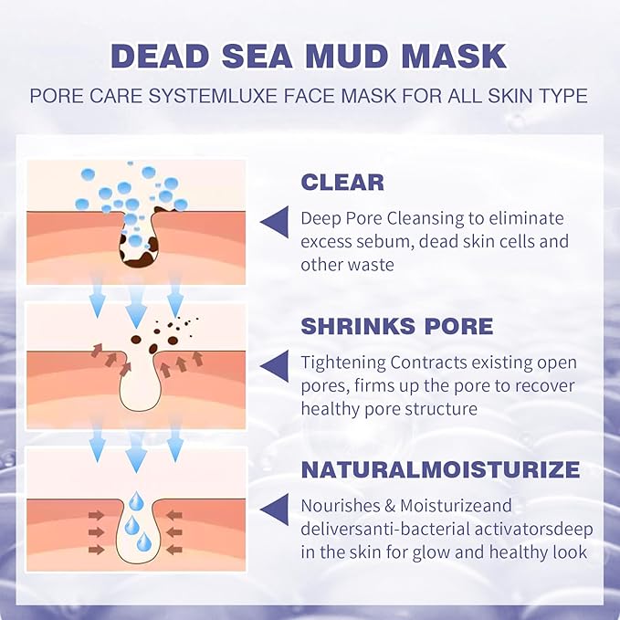 Clay Mud Face Mask for Women,Blueberry Dead Sea Mud Facial Mask Skincare,Deeping Cleansing,Oil Control,Hydrating Face Cleaning Clay Masks for All Skin Types (4.2OZ)