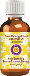 Deve Herbes Pure Galangal Root Essential Oil (Alpinia Galanga) Steam Distilled 30ml (1 oz)