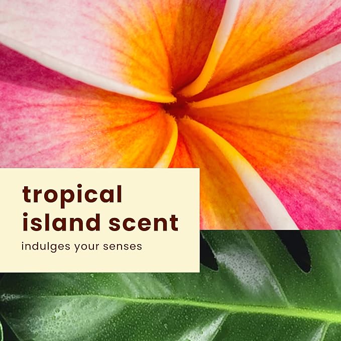 Hawaiian Tropic SPF 30 Broad Spectrum Sunscreen and After Sun Pack with 8oz Sheer Touch Moisturizing Sunscreen Lotion and 6oz Silk Hydration Weightless After Sun Lotion