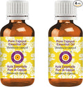 Deve Herbes Pure Cajeput Essential Oil (Melaleuca cajeputi) Steam Distilled (Pack of Two) 100ml X 2 (6.76 oz)