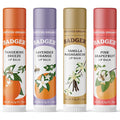 Badger Classic Organic Lip Balm Set - Yellow Box, Light Silky Long Lasting Lip Moisturizer Gift Set, All Natural Lip Balm Variety Pack Lip Set (Tangerine, Lavender Orange, Vanilla, Grapefruit), 4 pack