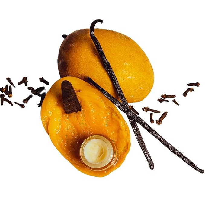 Mango Vanilla Lip Melt | Moisturizing, Non-Toxic, Vegan Lip Care | Organic Ingredients & Subtle Shine | Clean Beauty, Natural Flavor