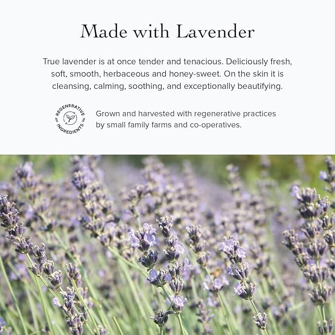 evanhealy Blue Chamomile Moisturizer | Calming Facial Cream with Carrot Seed & Argan Oil | Creamy Moisturizer For Sensitive & Reactive Skin