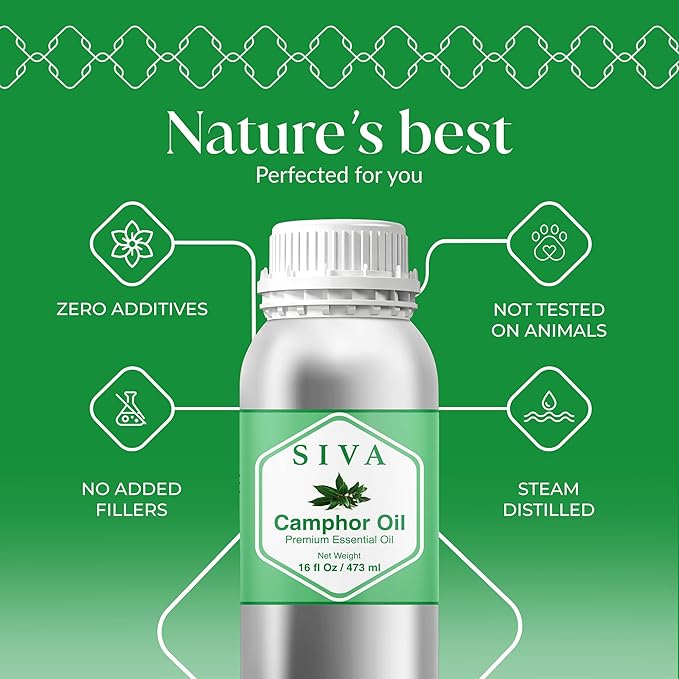 Siva Camphor Essential Oil - 16 Fl Oz – 100% Natural Camphor Oil - for Diffuser, Face, Skin Care, Aromatherapy, Hair Care, Scalp and Body Massage