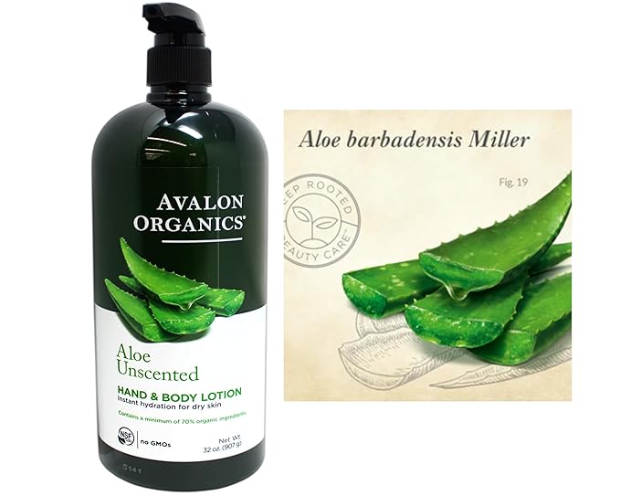Avalon Organics Hand & Body Lotion for Dry Skin Aloe Unscented, 32 OZ