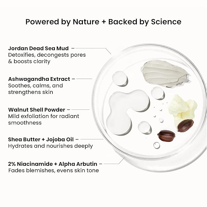 WILD OAK Dead Sea Healing Mud Clay Mask for Face | 2% Niacinamide, Calendula & Zinc Oxide | Paraben & Sulphate Free | Blemishes, Evens Skin Tone, Enhances Radiance | For All Skin Types | 3.52 oz