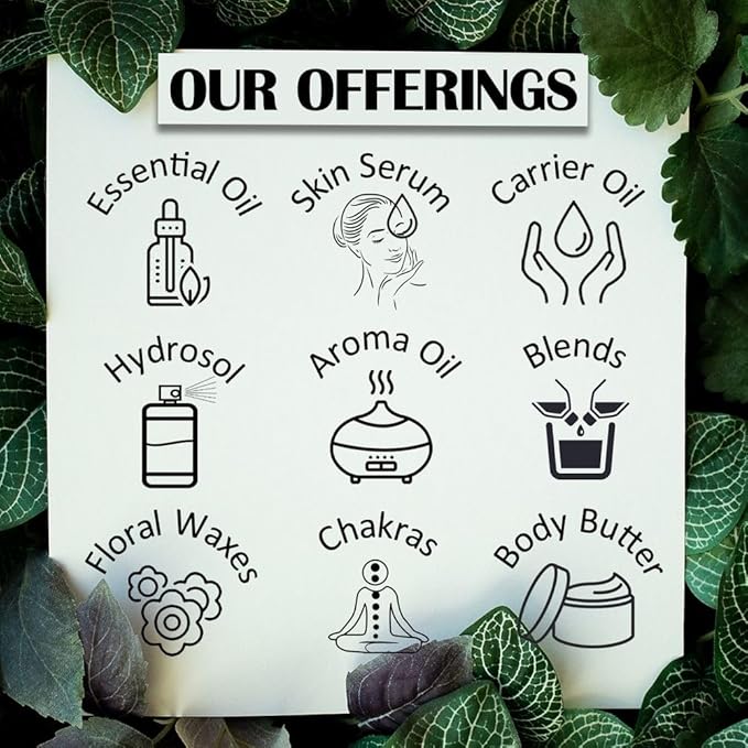 Greenwood Essential Tea Tree Essential Oil (Melaleuca alternifolia) Pure | Non-Sticky | Non-Greasy | Lightweight | Men & Women | All Skin Types | Steam Distilled 30ml (1 oz)