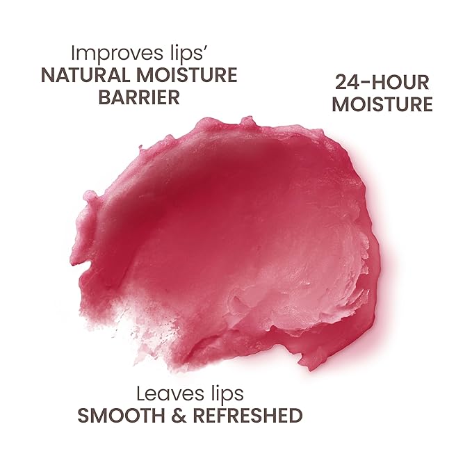 Burt's Bees Lip Balm - Pomegranate, Lip Moisturizer With Responsibly Sourced Beeswax, Natural Origin Conditioning Treatment, 2 Tubes, 0.15 oz.