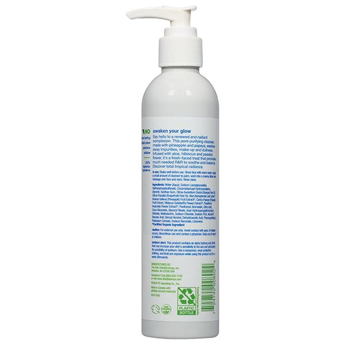 Alba Botanica Exfoliating Facial Cleanser, with Pineapple Enzyme and Aloe Vera, 8 Oz (Packaging May Vary)