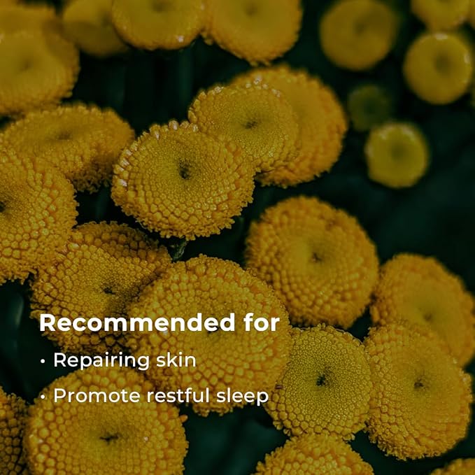 INNA ORGANIC Sheet Mask - Nexty Award Finalist, Sleep Well Glow, Overnight Renewal, Restful Healing｜EWG & COSMOS certified (Pack of 3) | Blue Tansy Essential Oils Infused Skin Care