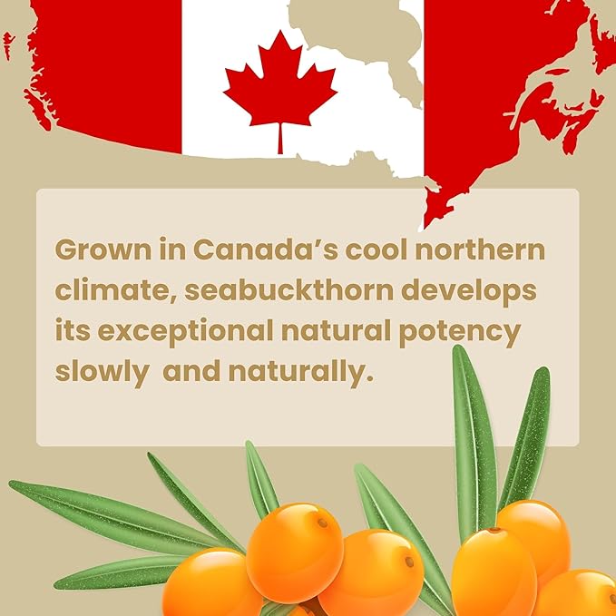 Best Nature's Cosmetics Sea Buckthorn Berry Oil – 100% Pure, Cold-Pressed & Unrefined – For Skin, Hair & Cosmetic Use – Made in Canada – 1 fl oz / 30 ml