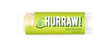Hurraw! Lime Lip Balm: Organic, Certified Vegan, Cruelty and Gluten Free. Non-GMO, 100% Natural Ingredients. Bee, Shea, Soy and Palm Free. Made in USA