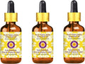 Deve Herbes Pure Celery Seed Essential Oil (Apium graveolens) with Glass Dropper Steam Distilled (Pack of Three) 100ml X 3 (10 oz)