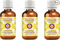 Deve Herbes Pure Ginger Essential Oil (Zingiber officinale) Steam Distilled (Pack of Three) 100ml X 3 (10 oz)